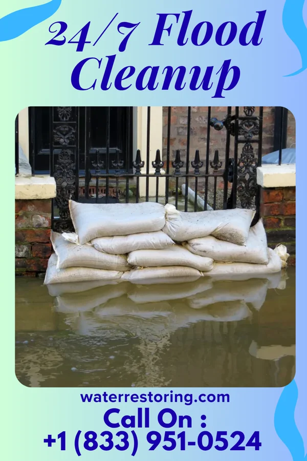 24/7 Flood Cleanup in McNeil, AR