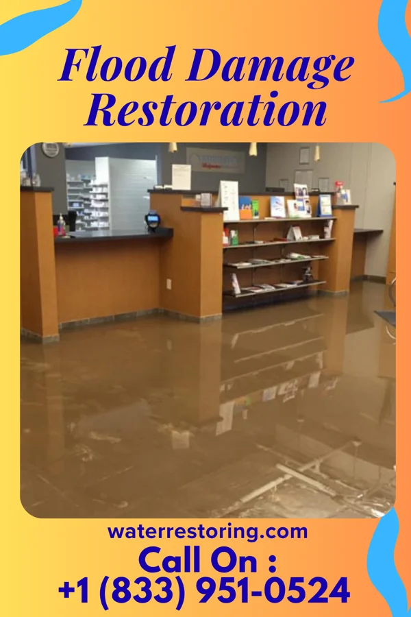 Flood Damage Restoration in McNeil, AR