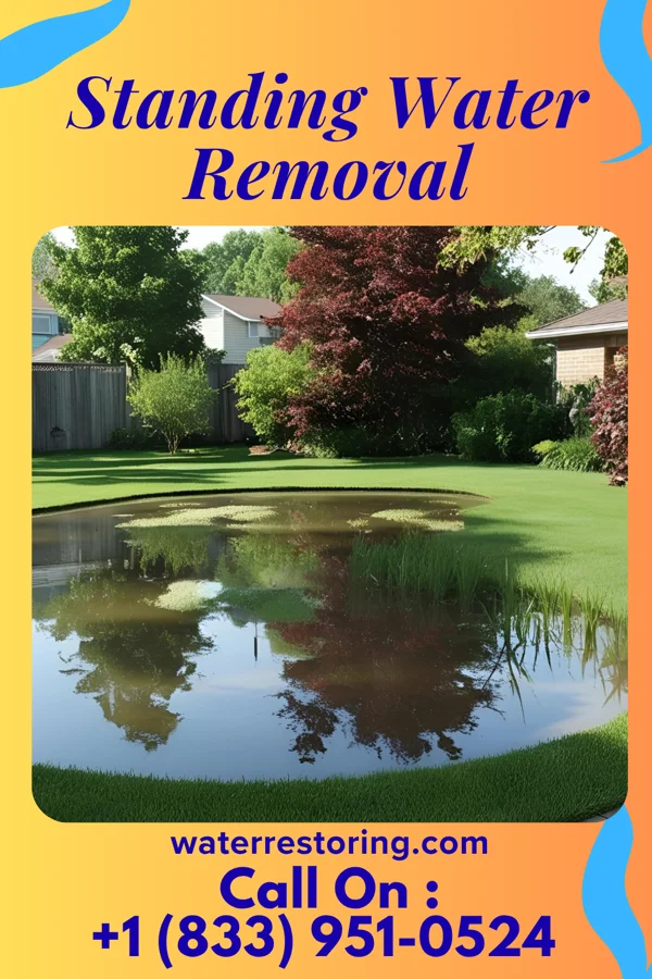 Standing Water Removal in McNeil, AR